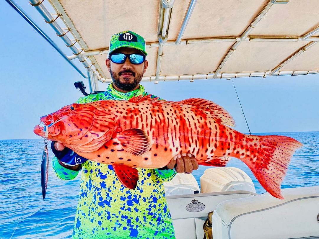 إزاي تختار الطُعم الصح لصيد الناجل وما تضيعش الضربة؟